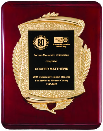 Airflyte P5473 Rosewood Gold Sunburst Plaque